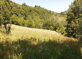 Spacious Countryside Escape