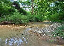 Spacious Countryside Escape