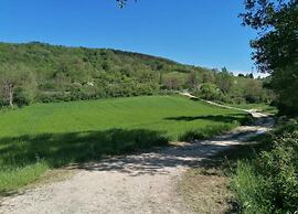 Spacious Countryside Escape