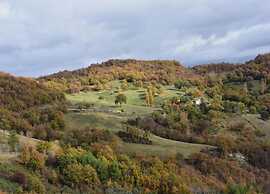 Spacious Countryside Escape