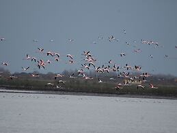 Sun Drenched Seaside Holiday Home near Venice