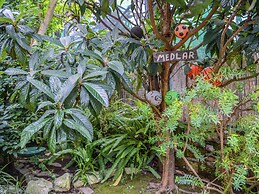 Apartment in Country House near Center of Sorrento