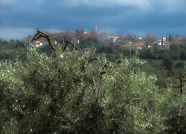 Belvilla by OYO Castagno del Riccio