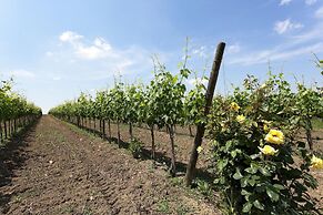 Belvilla by OYO Castagno del Riccio