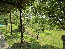 Nice Villa with Private Pool & Large Garden near Cortona