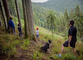 Charming Apartment in Regelsbach Near City Centre