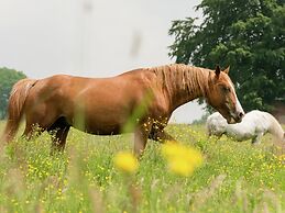 Farm With Lovely Panoramic Views