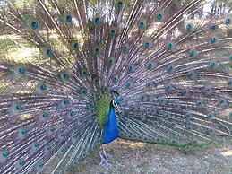 Central Apartment in Dubrovnik