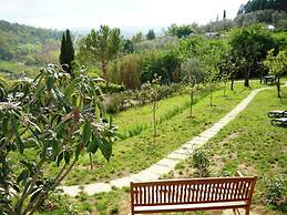 Farmhouse With Swimming Pool in Poggibonsi