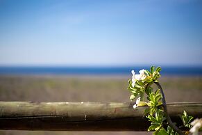 Breathtaking Family Designer Villa w/ Private Pool & Tropical Garden