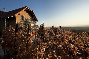 Vineyard Cottage Brodaric