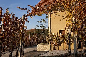 Vineyard Cottage Brodaric