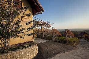 Vineyard Cottage Brodaric