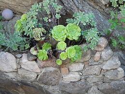 Fantastico San Teodoro AMB01