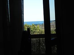 Fantastico San Teodoro AMB01