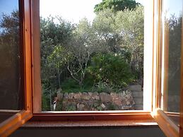 Fantastico San Teodoro AMB01