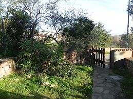 Fantastico San Teodoro AMB01