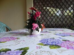 Fantastico San Teodoro AMB01