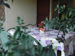 Fantastico San Teodoro AMB01