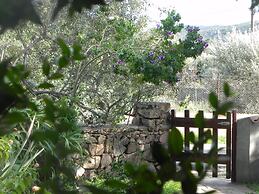 Fantastico San Teodoro AMB01