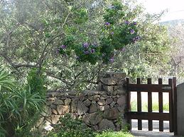 Fantastico San Teodoro AMB01