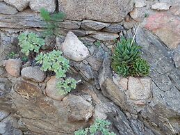 Fantastico San Teodoro AMB01