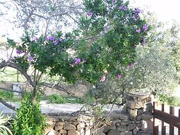 Fantastico San Teodoro AMB01