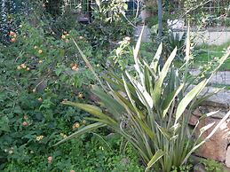 Fantastico San Teodoro AMB01