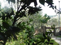 Fantastico San Teodoro AMB01