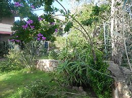 Fantastico San Teodoro AMB01