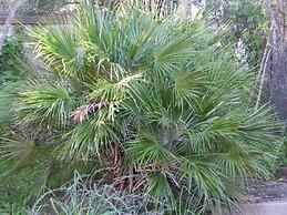 Fantastico San Teodoro AMB01