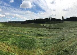 Sunny Terrace Apartment