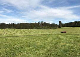 Sunny Terrace Apartment