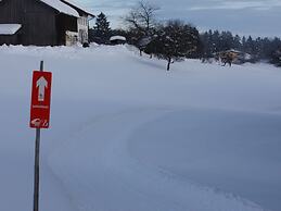 Spacious Holiday Home in Neureichenau-schimmelbach