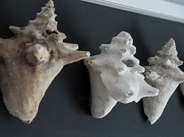 Belvilla by OYO Quattro Colonne Uno con Piscina