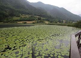 Lakeside Escape in Ledro