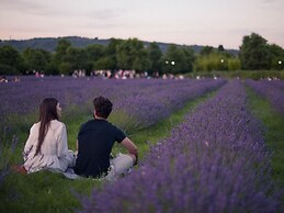 Adorable Farmhouse in Asciano