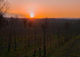 Elegant Art Nouveau Villa With Private Pool Near the Lake