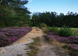 Chic Vacation Home near Forest in Sebnitz Germany