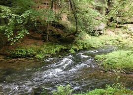 Chic Vacation Home near Forest in Sebnitz Germany