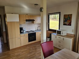 Spacious Apartment near Lake in Frankenau