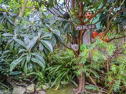 Villa a Sorrento Vicino al Mare