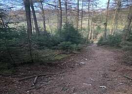 Panoramic Retreat in Malmedy