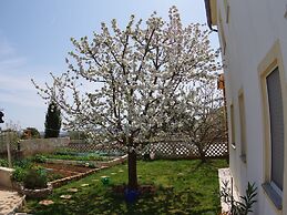 Comfortable Apartment in Vinkuran near Beach