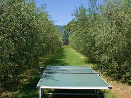 Holiday Home in Cortona With Pool