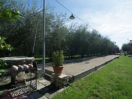 Holiday Home in Cortona With Pool