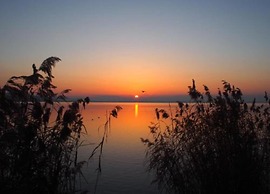 Holiday Home in Magione With Garden