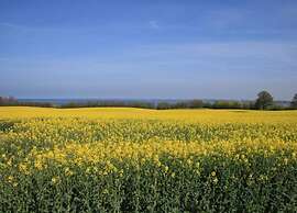 Ferienhaus in Brusow mit Ueberdachter Terrasse