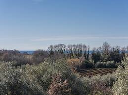 Holiday Home in Novigrad With Private Pool