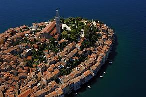 Holiday Home in Novigrad With Private Pool